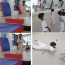 쌍용태권도 이미지