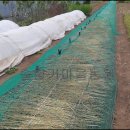 백송농장 이미지