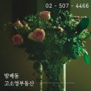 고소영공인중개사사무소 이미지