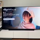 연하남 | 애정이이, 오직 사랑 중드 후기 — 배드민턴과 테니스, 그리고 달달한 연하남 로맨스