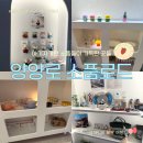 양양읍사무소 | 양양로 소품로드 구경하기 좋은 소품샵 투어