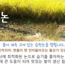 햇볕으로 소독한 고논햅쌀 백미10kg(9일)19:30/최고가1인 이미지