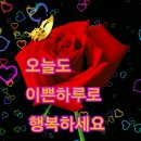 돌아온 나훈아 신곡-남자의 인생 이미지