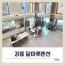 달마루펜션 | 강릉가족펜션 달마루펜션에서 보낸 가족여행 숙박 후기