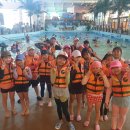 베스트 태권도 이미지