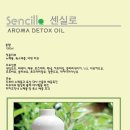 엔젤코리아 네이버블로그