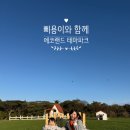 1278 | 제주 여행 아이와 부모님 모시고 가기 좋은 곳, 제주 에코랜드 테마파크
