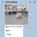 리츠펫 동탄능동점 이미지