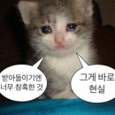 (주)비즈피오컴 | [#3] 산넘어 산 산넘어 산⛰️ (수원 브라이덜 휘 후기)