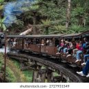 동화 속 바다여행 | 멜번 근교 퍼핑 빌리🚂 동화 속 힐링 여행 후기