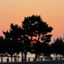 양양 베리트 바닷가 오션뷰 가족펜션 이미지