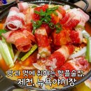 뉴욕야시장 제천시청점 | [제천술집] 분위기와 감성에 미치는 뉴욕야시장(영업시간, 가격)