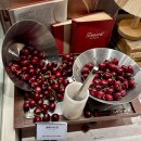 아이스뮤지엄 | 성수 하우스 오브 애슐리 1인 12,900원 디저트 무제한 디저트뮤지엄 내돈내산 후기