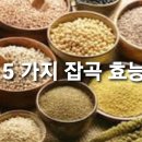 5 가지 잡곡 효능 이미지