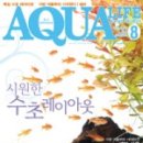 아쿠아라이프