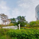 &#39;완전 자본잠식&#39; 인창개발, 가양동 CJ부지로 6년 적자 끊을까 // 현대건설, 브리지론 &#39;4.2조→1.7조...