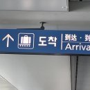 디어뮤