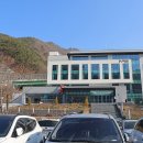 영월 봄맞이 축제로 낮 과 밤의 다른 매력을 맛 보기