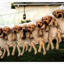 라온힐요양병원 이미지