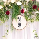 더그린 이미지