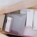 콩이랑 초이랑 이미지