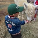 백두 동물병원 | 일상의 조각들 _ 추석연휴 기록