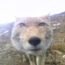 어쿠스틱 통기타 교실(야) | HAPPY SAD That’s what love is