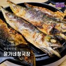 윤가네순두부 | 청량리 맛집 윤가네 청국장 고등어구이 정식 가성비 솔직후기