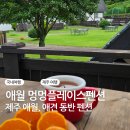 멍멍플레이스펜션 이미지