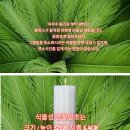 오성불교사 Daum카페
