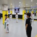 인성 용인대 태권도장 이미지