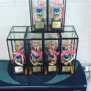 인아웃복싱 이미지