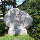 무장애숲 이미지