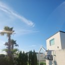 스테이우린 이미지