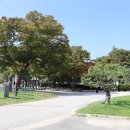 읍민운동장 화장실 이미지