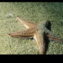 바다속으로 이미지