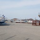 전곡항마리나 이미지
