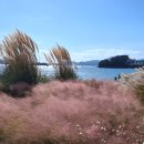 바람불어좋은날 이미지