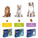 햇살가득약국 이미지