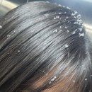 영민약국 | 우당탕탕 수료생의 1-2월