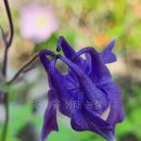 산매농장 이미지