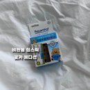 올리브영 립밤, 비판톨 립스틱 꽃카 에디션 추천 사용 후기