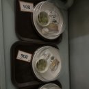 호텔미즈 | 대전 미즈제일여성병원 산후조리원 S1 9박10일 이용 후기 (비용, 식사, 교육프로그램, 마사지 등)