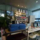 팀 드래곤 복싱 이미지