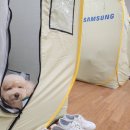 청라1동행정복지센터(4) 이미지