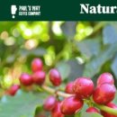 폴스웨이커피 - 원주시 솔우물2길 19-1 | 폴스웨이커피