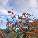 매전면사무소 이미지