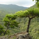 법기수원지 이미지