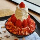 설빙우두점 | 설빙 순수요거생딸기빙수 가격 맛 후기 :: 설빙 춘천우두점