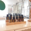 테라피요가(고급) 이미지